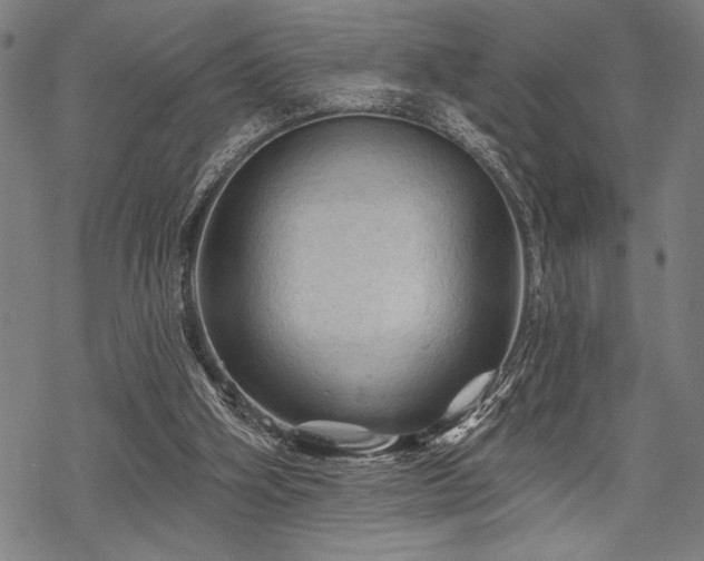 X0000069790106200605221124