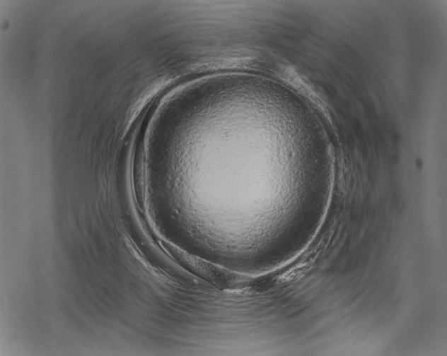 X0000069790107200605221124