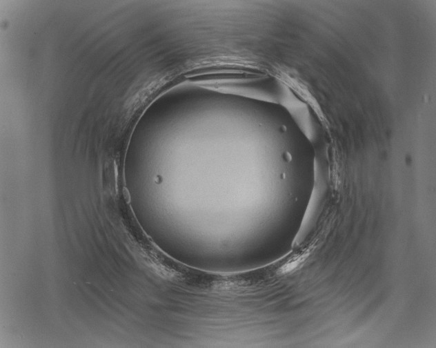 X0000069790109200605221124