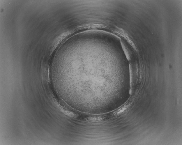 X0000069790110200605221124