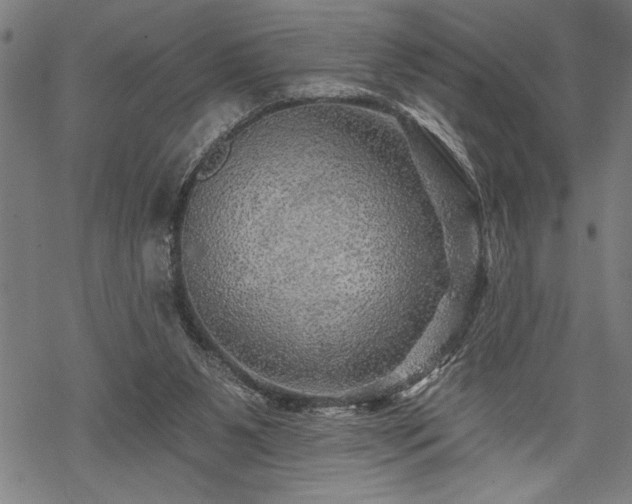 X0000069790111200605221124