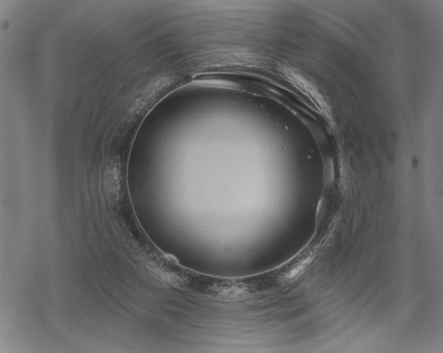 X0000069790113200605221124