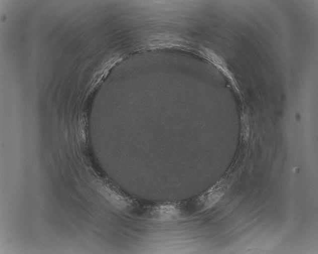 X0000069790114200605221124