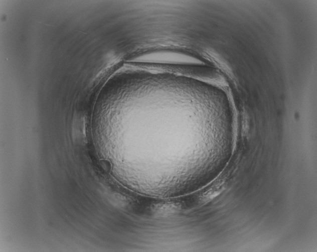 X0000069790115200605221124