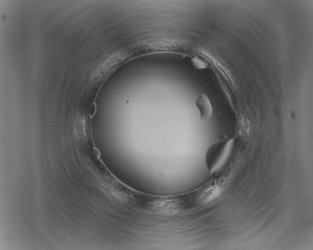 X0000069790117200605221124