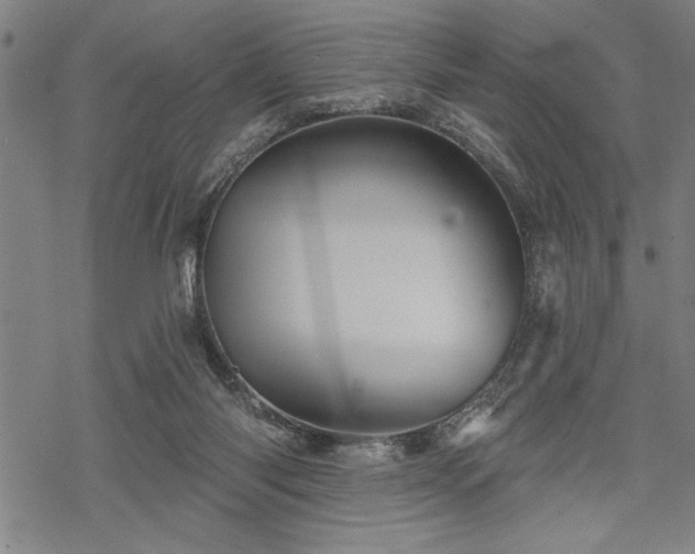 X0000069790118200605221124