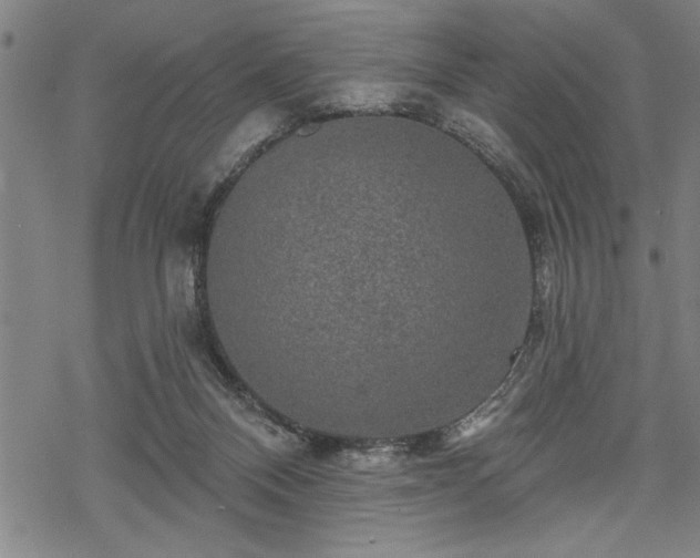 X0000069790120200605221124