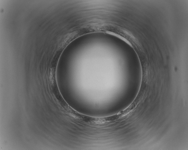 X0000069790121200605221124