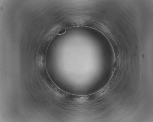 X0000069790122200605221124