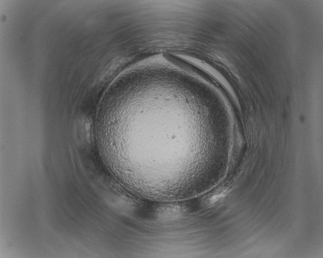 X0000069790123200605221124