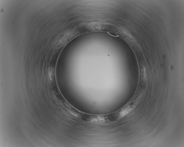 X0000069790125200605221124