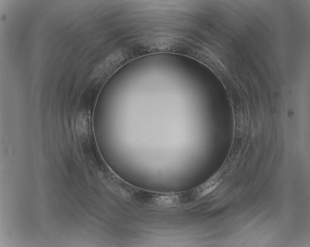 X0000069790126200605221124