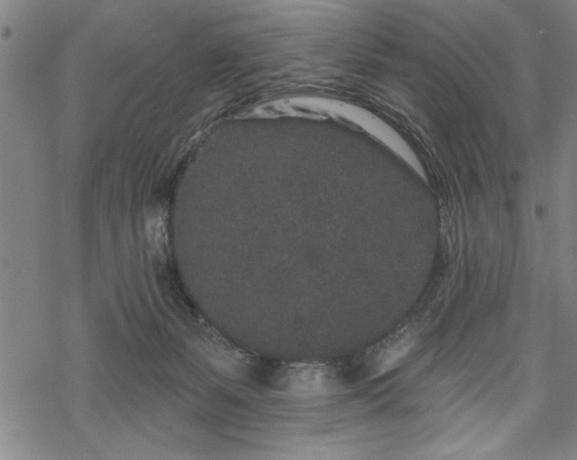 X0000069790127200605221124