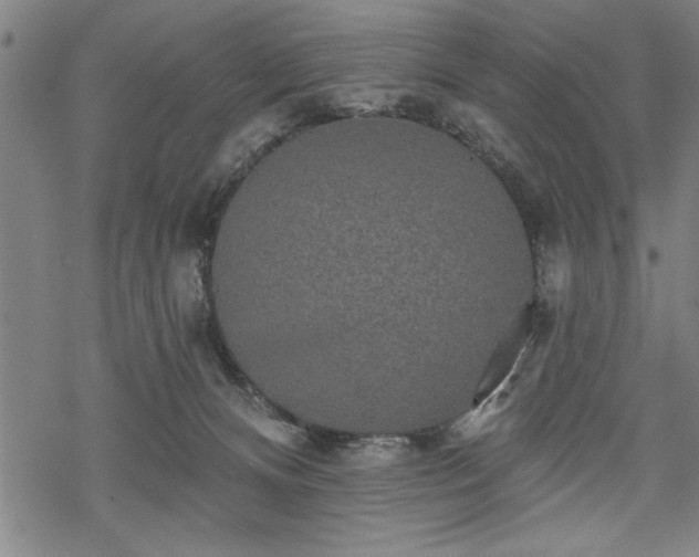 X0000069790128200605221124