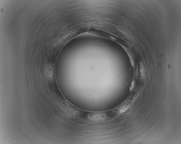 X0000069790129200605221124