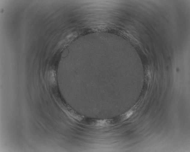 X0000069790130200605221124