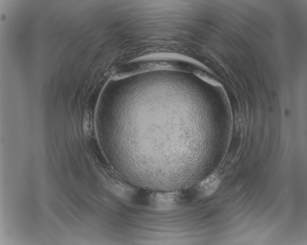 X0000069790134200605221124