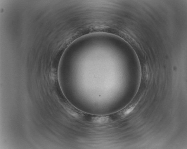 X0000069790135200605221124