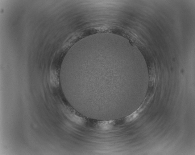 X0000069790136200605221124