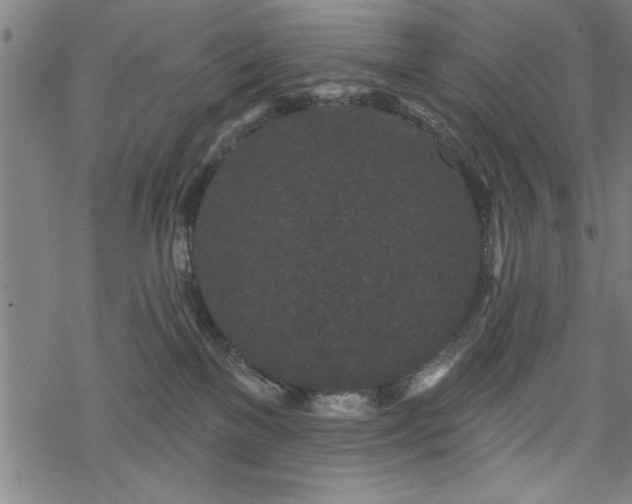 X0000069790137200605221124