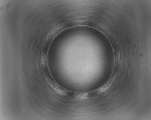 X0000069790138200605221124