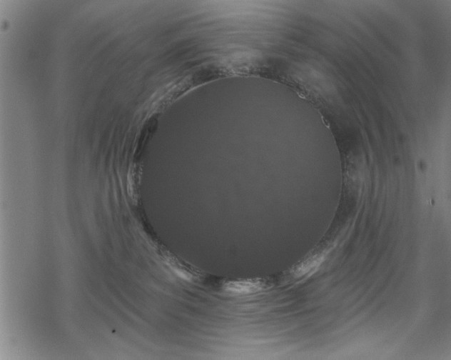 X0000069790139200605221124