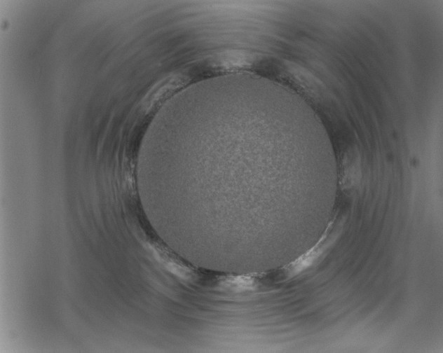 X0000069790140200605221124