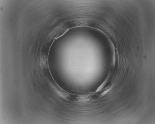 X0000069790141200605221124