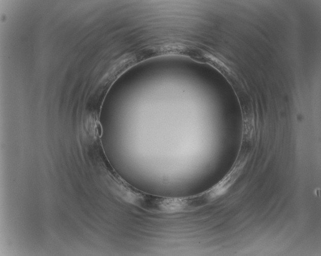 X0000069790142200605221124