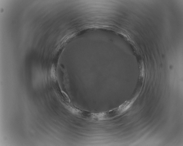 X0000069790143200605221124