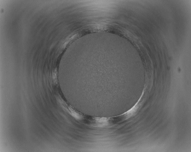 X0000069790144200605221124