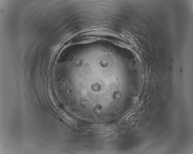 X0000069790145200605221123