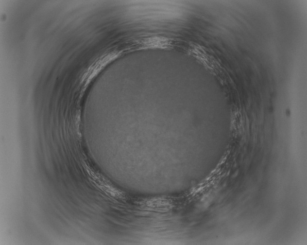 X0000069790146200605221123