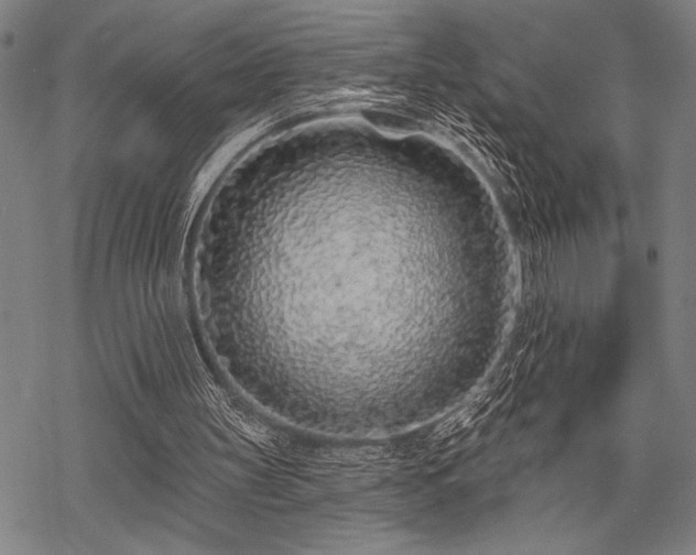 X0000069790147200605221123