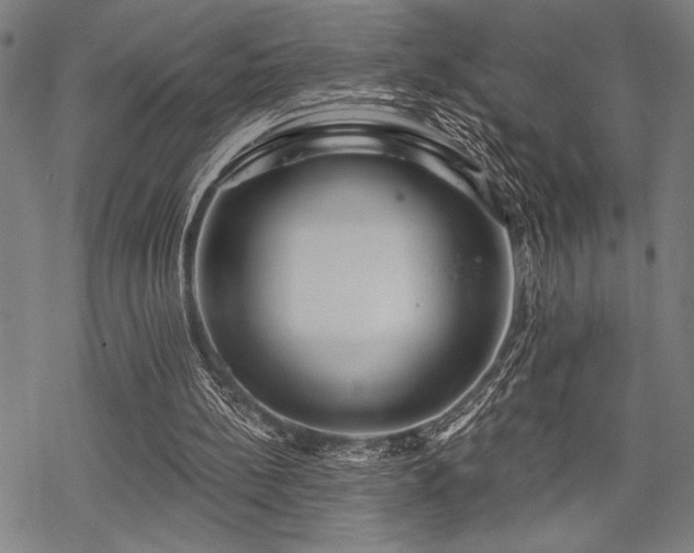 X0000069790148200605221123