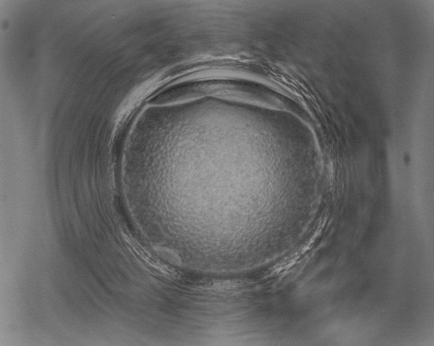 X0000069790149200605221123