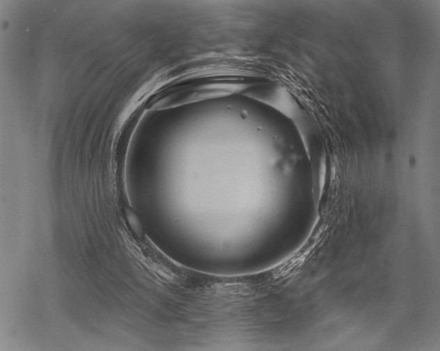 X0000069790150200605221123