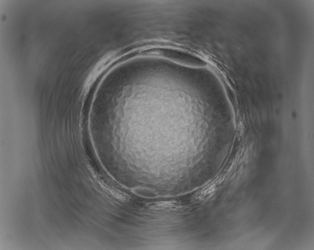 X0000069790151200605221123