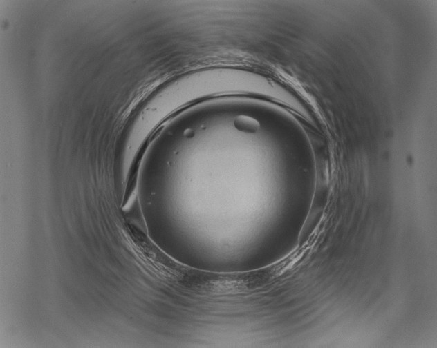 X0000069790154200605221123