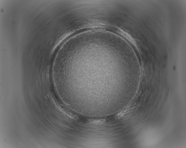 X0000069790155200605221123