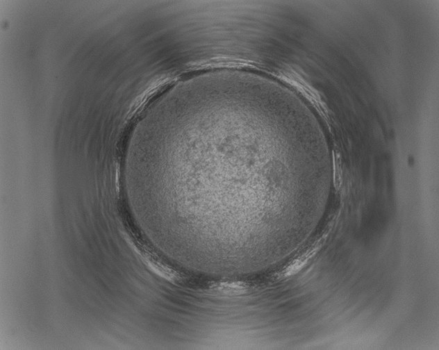 X0000069790157200605221123