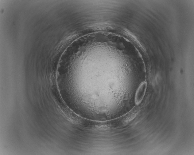 X0000069790161200605221123