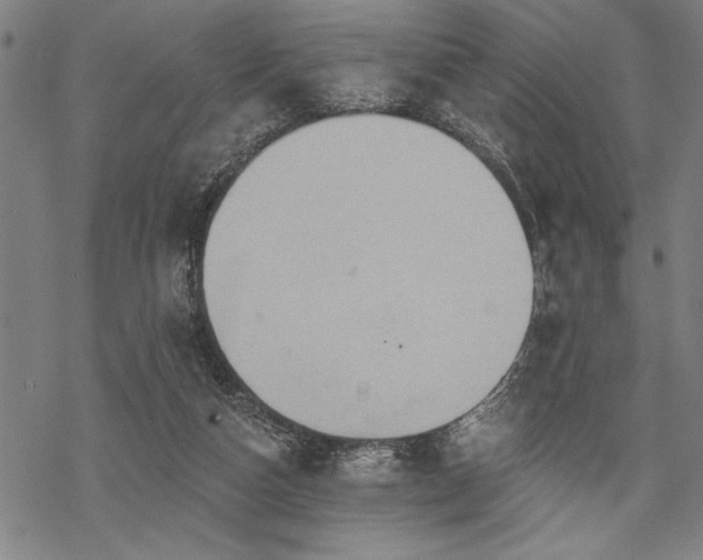 X0000069790162200605221123