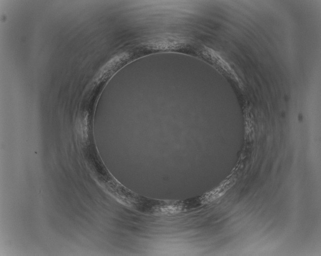 X0000069790163200605221123