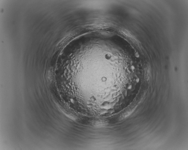 X0000069790165200605221123