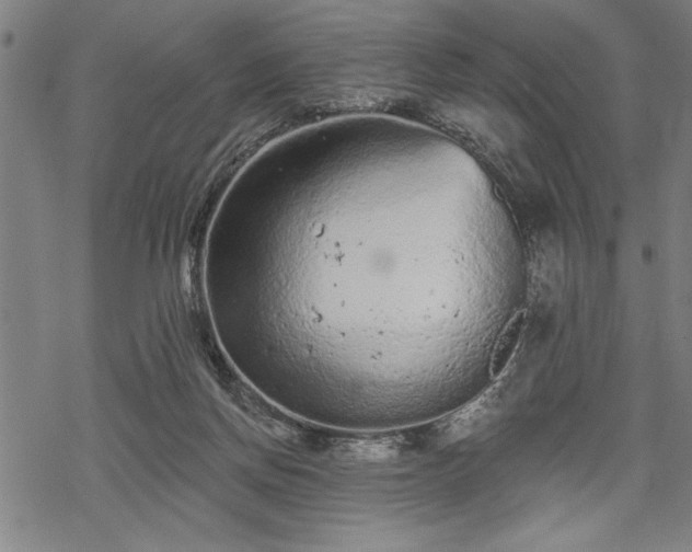 X0000069790166200605221123