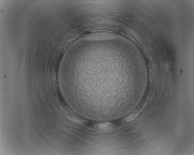 X0000069790173200605221123