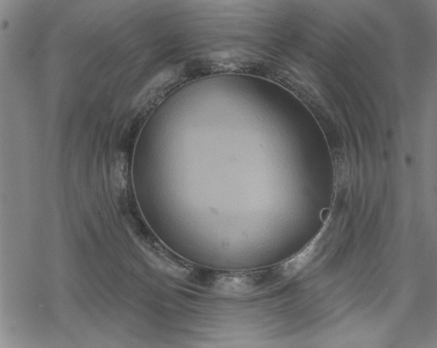 X0000069790174200605221123