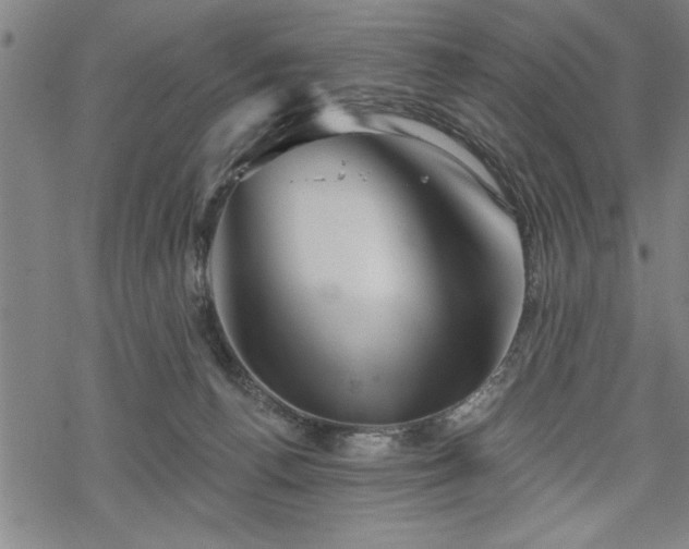 X0000069790176200605221124