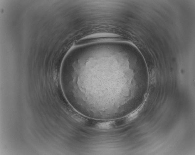 X0000069790178200605221124